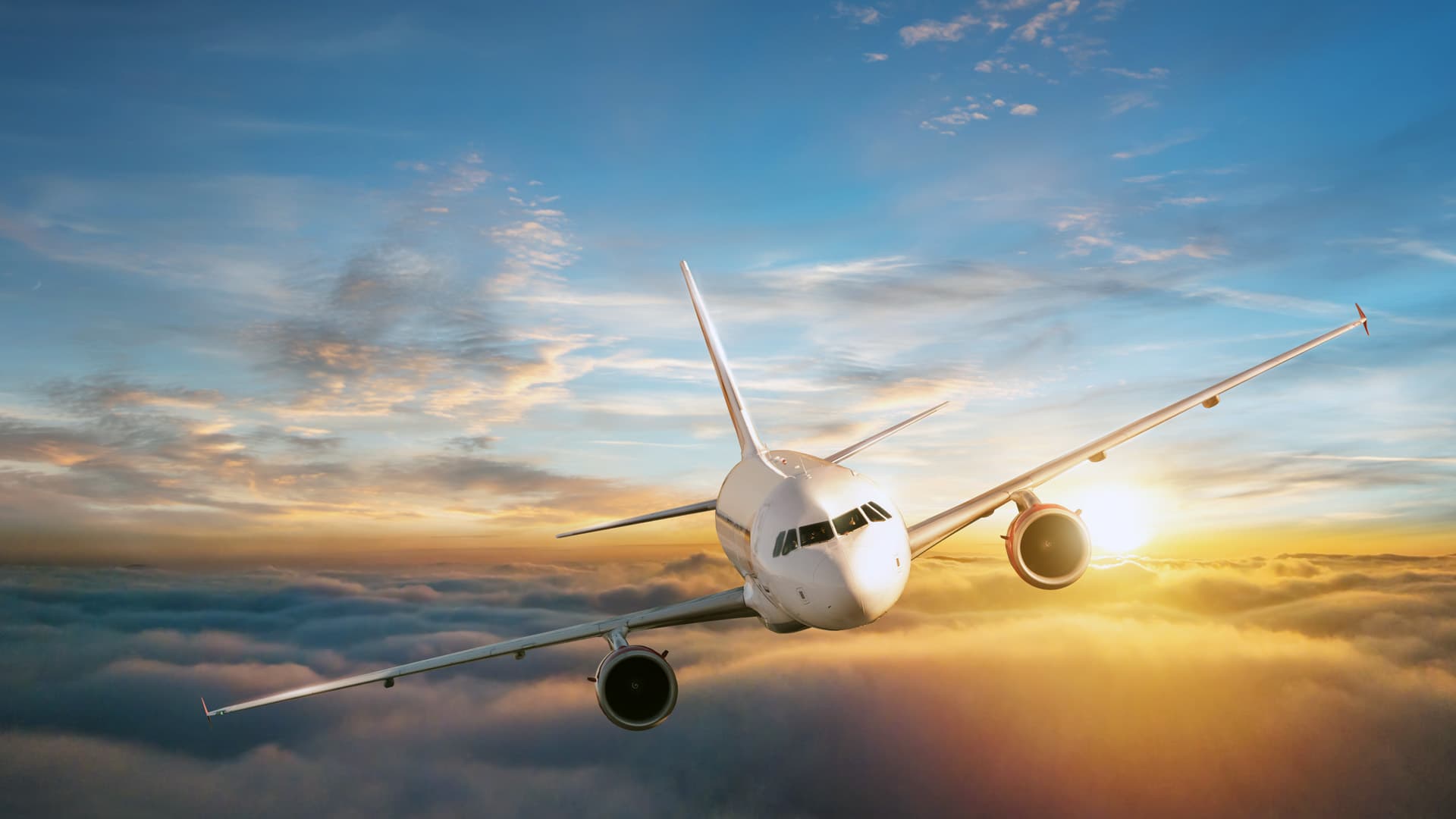 Cheap Flight Support
