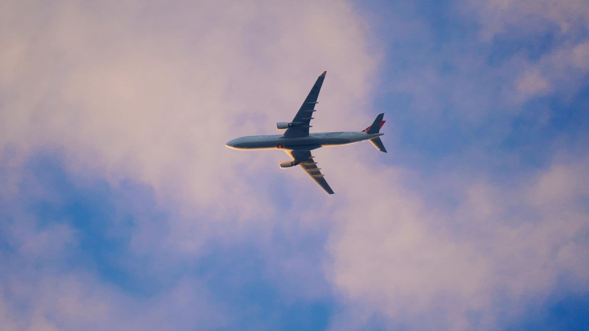 How Airline Mergers Shape Tourist Routes and Pricing