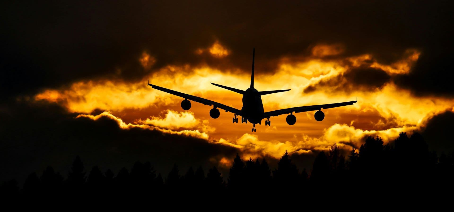 Safety, Comfort, and Tourism Confidence