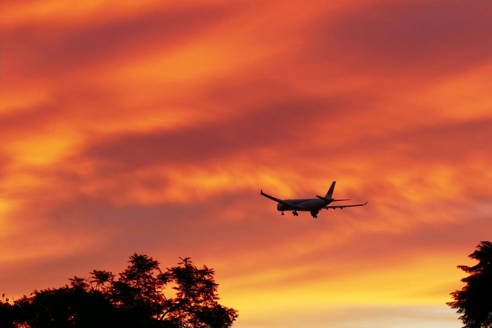 Scenic Flight Tourism: Routes That Are Destinations