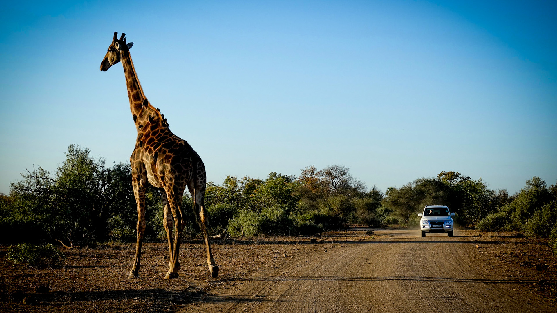 kruger-national-parks-lesser-known-entrances.jpg