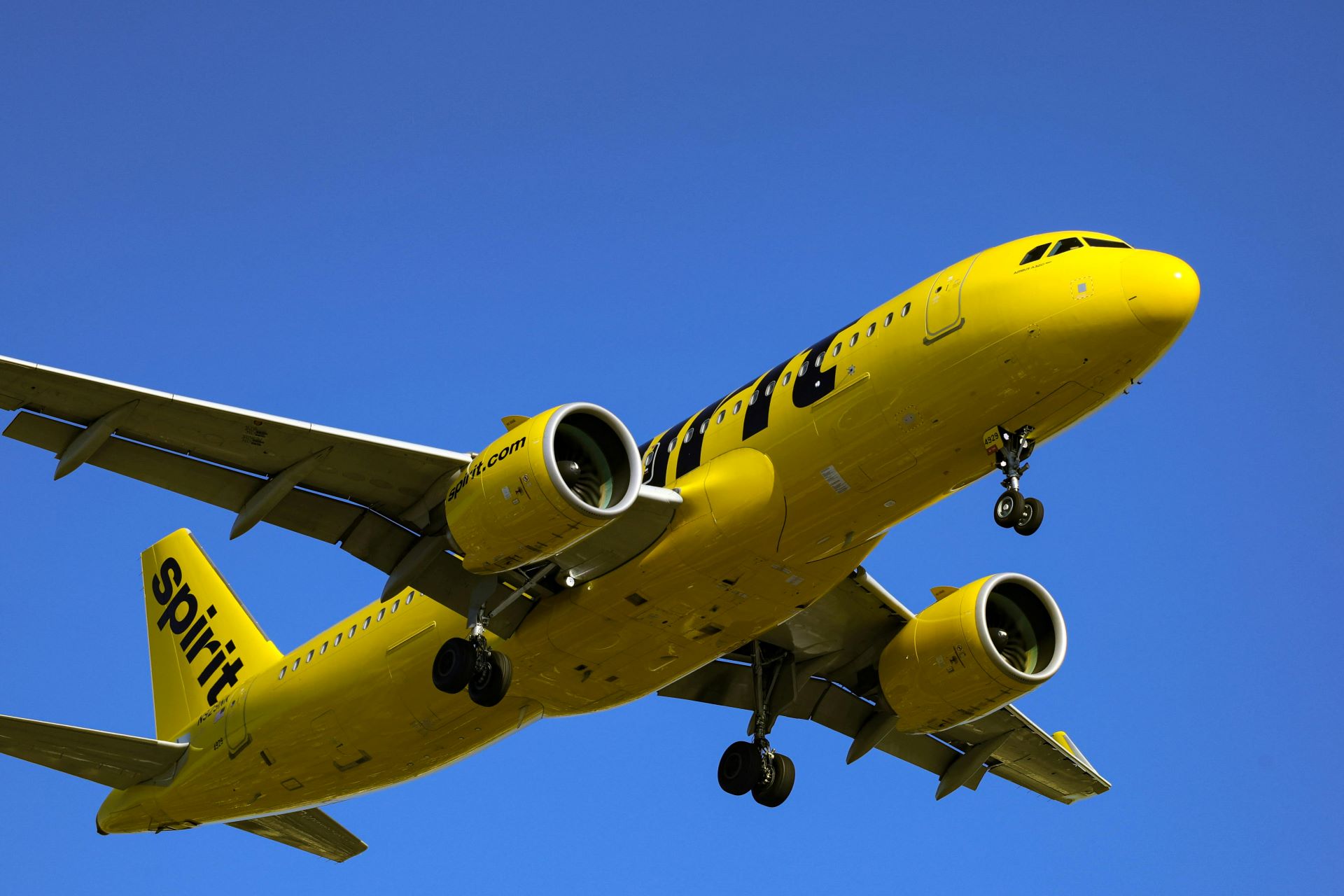 the-emotional-engine-behind-airline-brand-loyalty